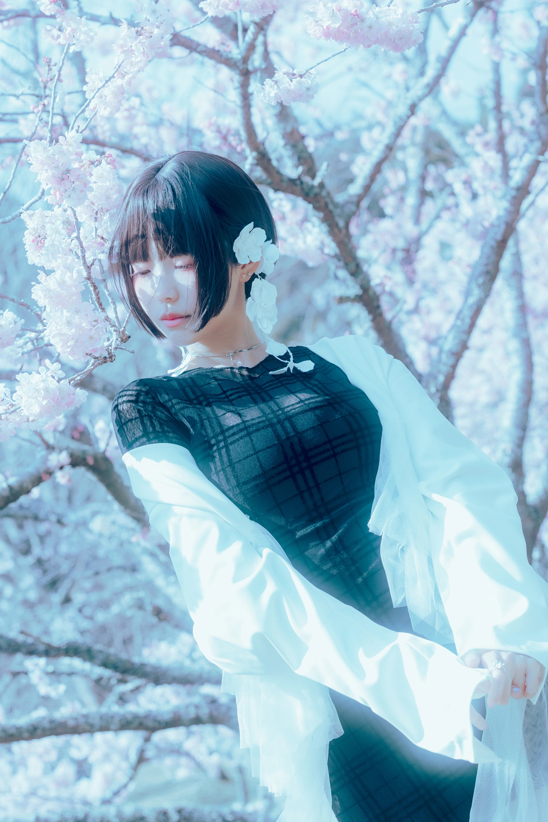 ElyEE子 - NO.130 2024.April-Tier 3 2