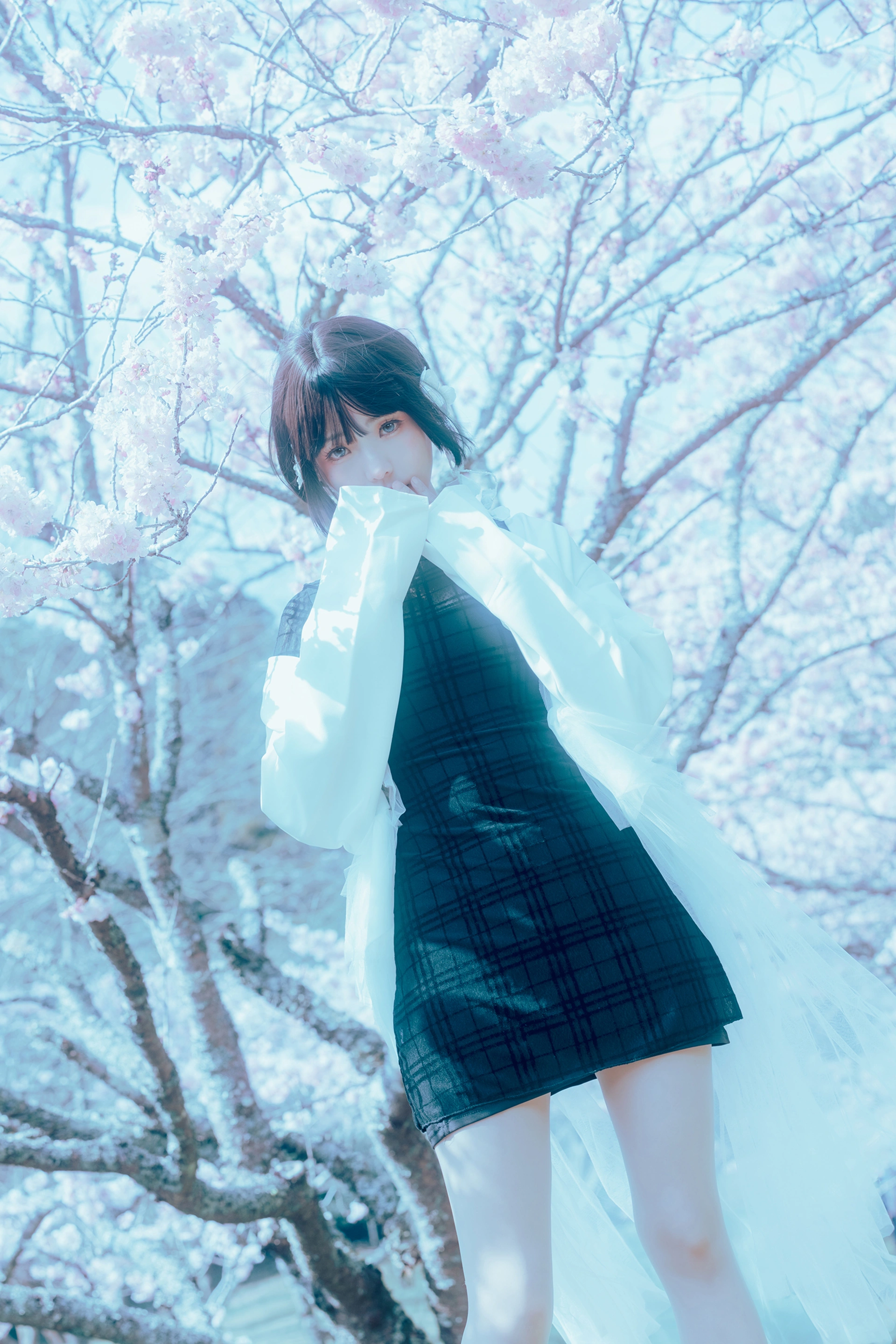 ElyEE子 - NO.130 2024.April-Tier 3 3